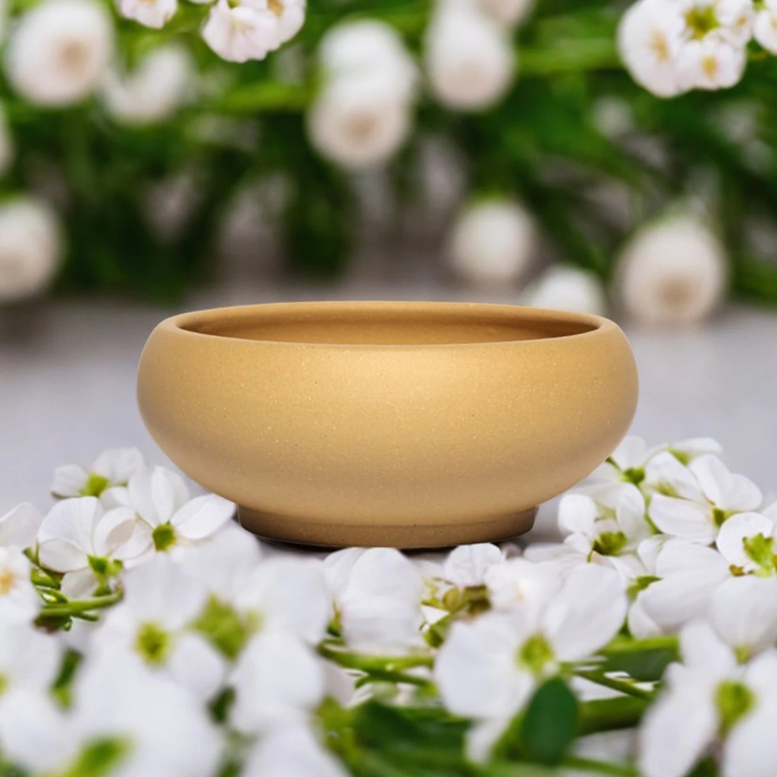Flowerpot Red Stoneware Flower Pots With Drain Hole Elegant Promote Healthy Growth Planter For Balcony Living Room Bedroom