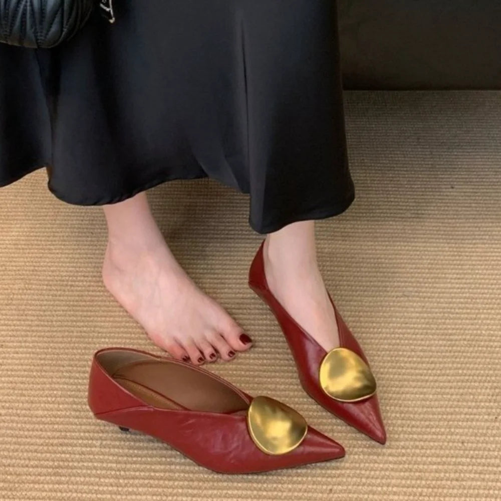 Luxury Women Heeled Shoes Pointed Toe Low Heels Designer Shoes Sexy Dress Fashion Woman Pumps 2025 Summer Elegant Zapatos Mujer