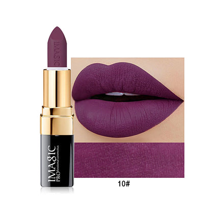 IMAGIC 12-Color Lipstick Matte Waterproof Velvet Pigment Nude Rouge Waterproof Long Lasting Lip Profissional Cosmetics Beauty