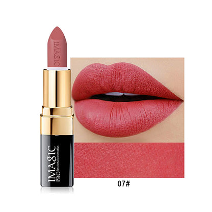 IMAGIC 12-Color Lipstick Matte Waterproof Velvet Pigment Nude Rouge Waterproof Long Lasting Lip Profissional Cosmetics Beauty