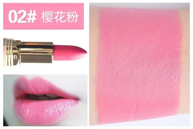 10 Colors Pink Lipstick Waterproof Matte 24 Hours Long Lasting Non-Stick Cup Red Rose Lip Tint Velvet Cosmetic Women Make Up