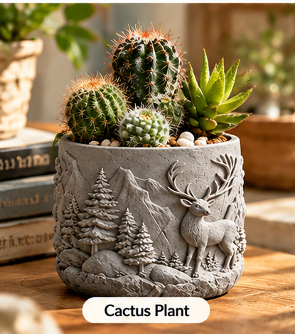 Small embossed flower pot styled with cactus and succulent plants