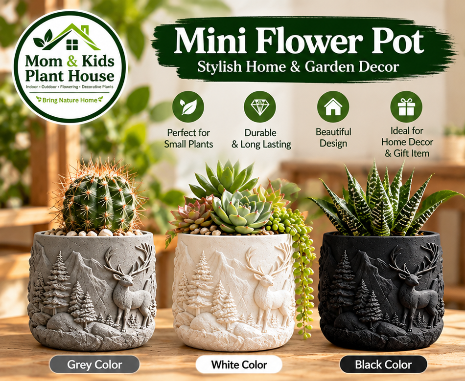 Mini decorative flower pots in grey white and black with plants