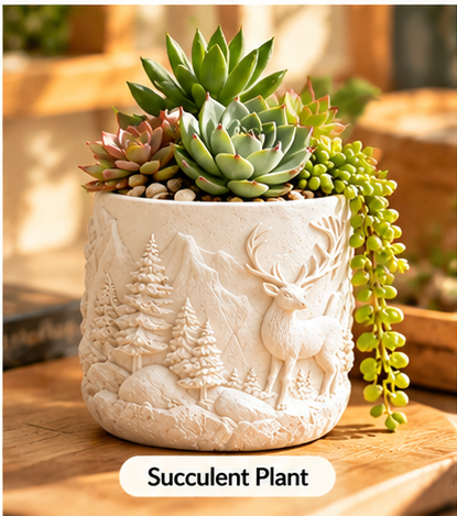 Small embossed flower pot styled with succulent plants