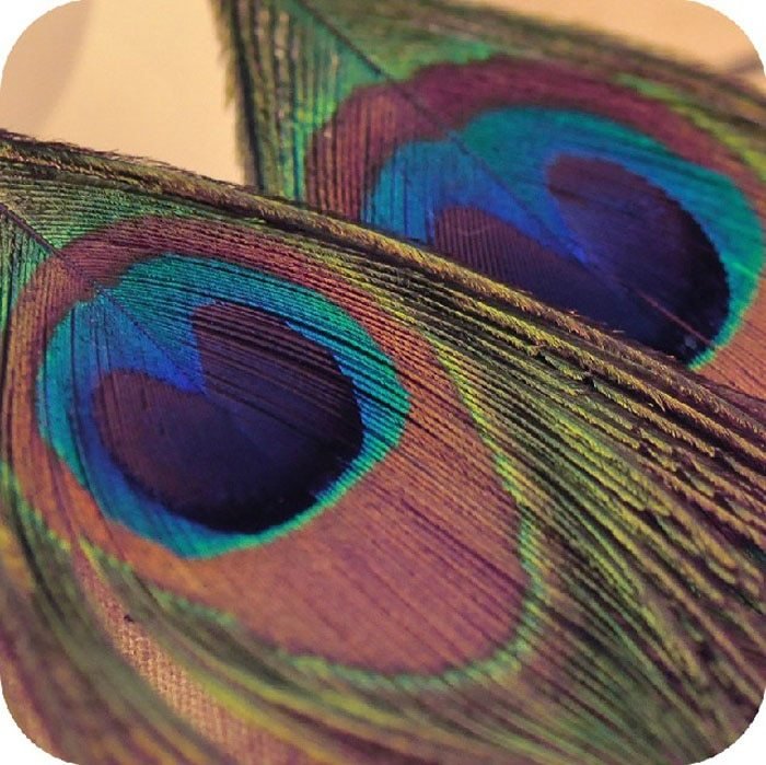 New Fashion Jewelry Earrings For Women Boho Charming Earring Simple Peacock Feather Vintage Luxury Long Dangle Earrings Cut (Available) - Mom & Kids